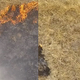 Illustration for article titled A New Spray-On Gel Could Help Stop Wildfires Before They Start, Researchers Say